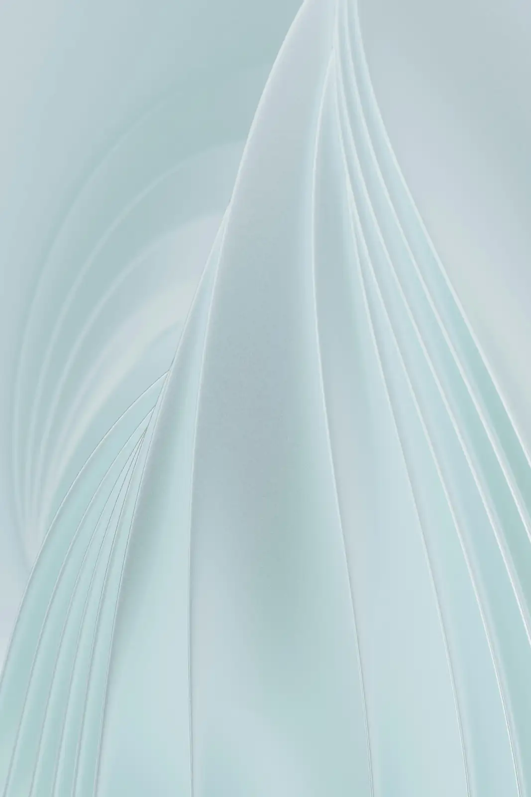 paperwhite basal plate waterline close-up