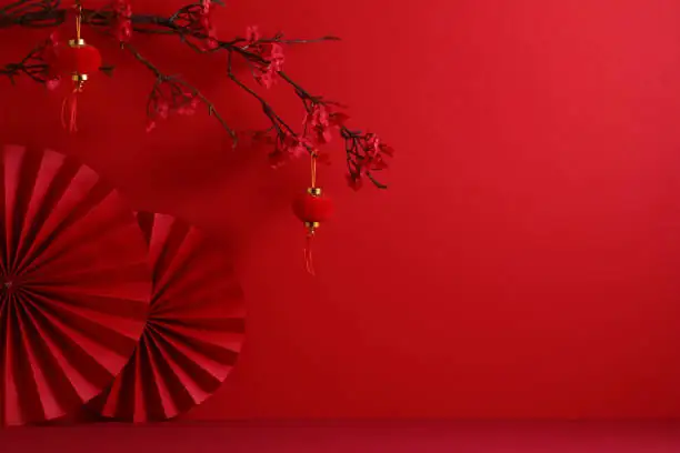 paperwhite Chinese New Year bowl