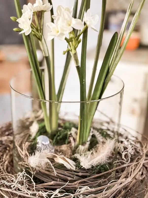paperwhite narcissus dining table centerpiece