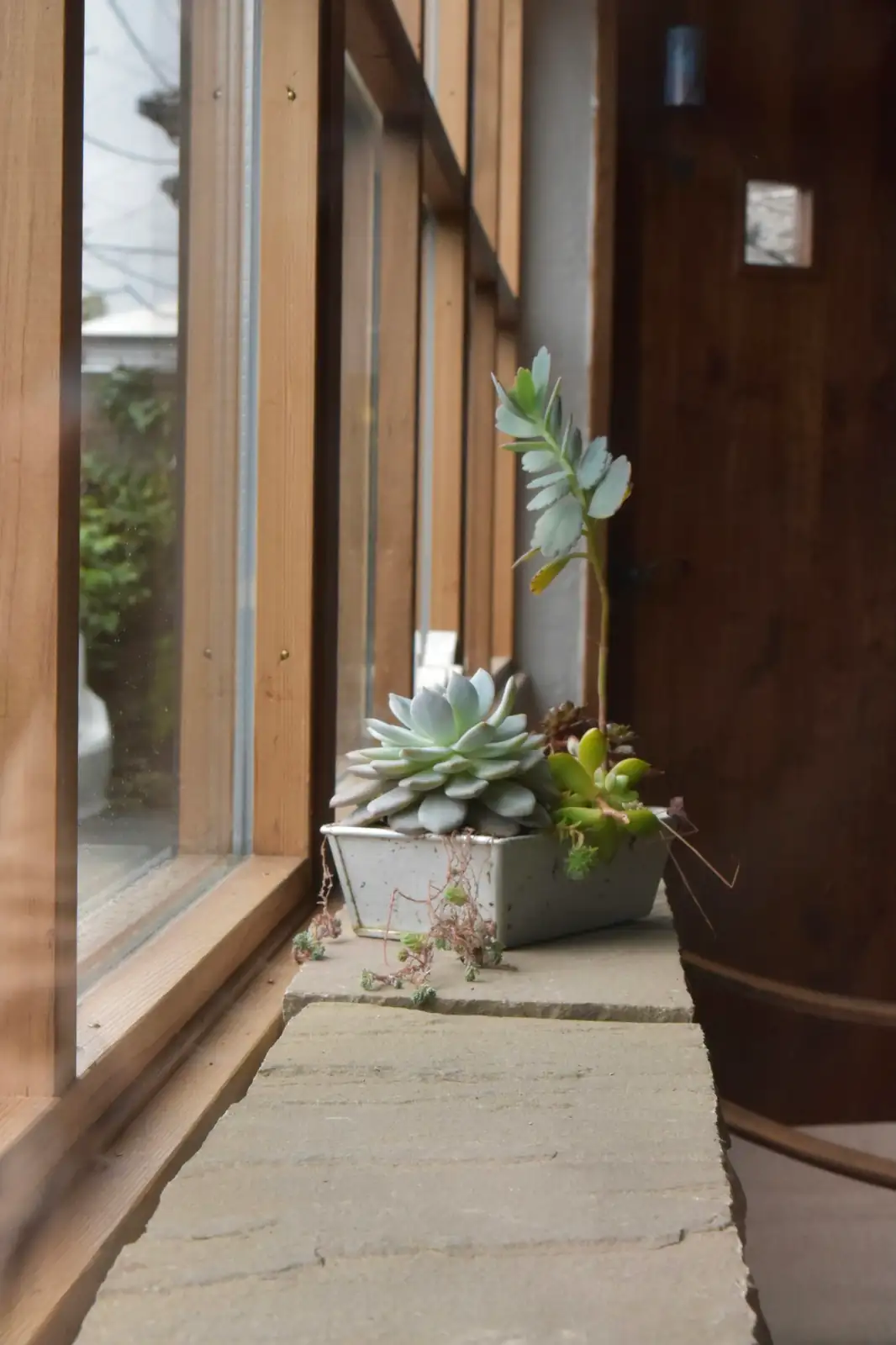 Gorgeous—and Toxic: Safe Hyacinth Styling for Homes with Kids and Pets