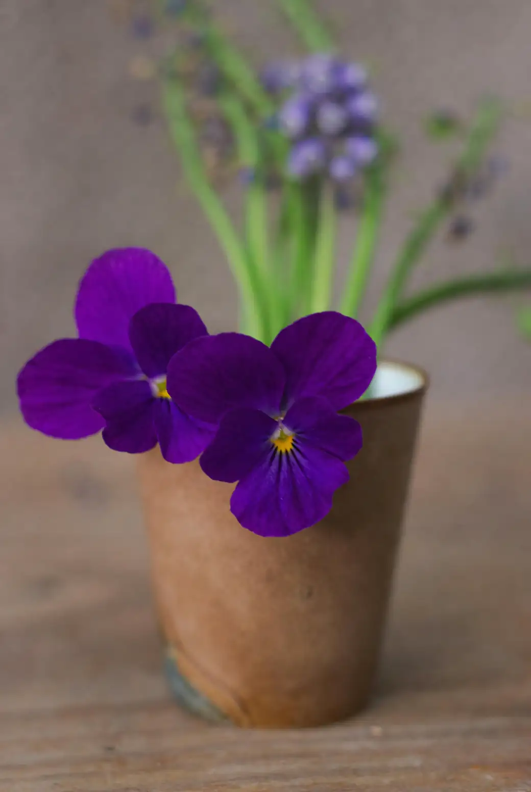 From ‘Love-in-Idleness’ to Garden Superstar: The 19th-Century Remix that Created the Modern Pansy