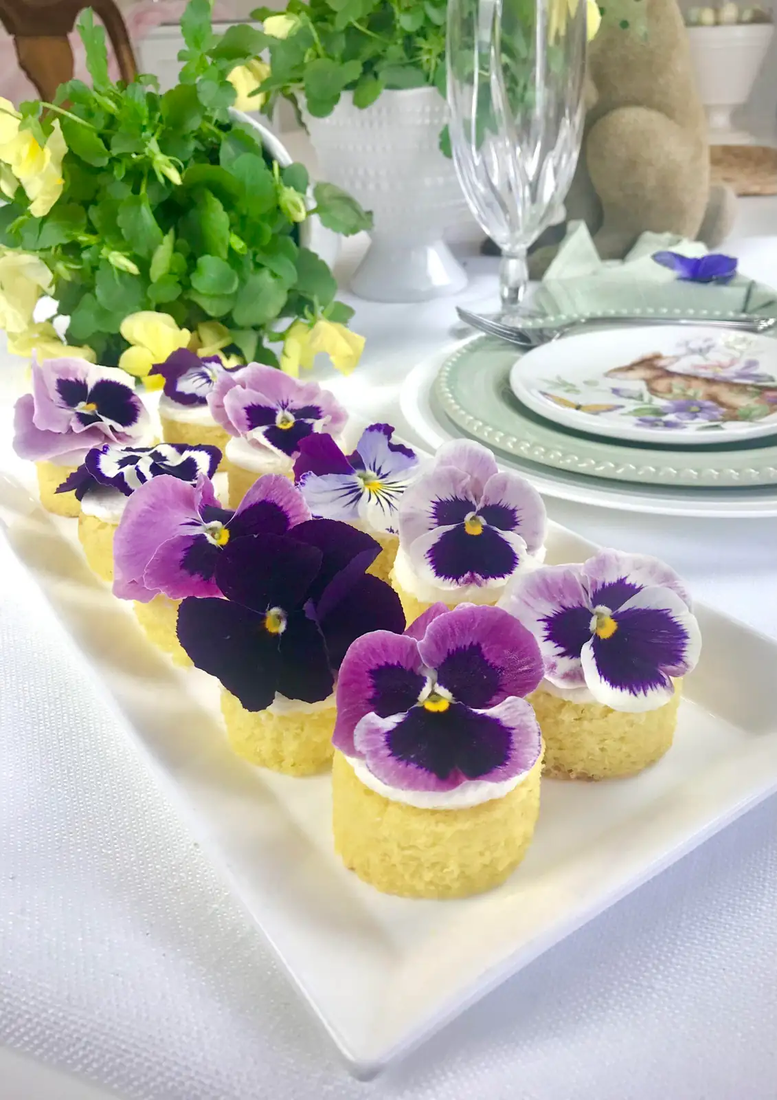 Edible Art: How to Grow, Harvest, and Candy Pansy Blooms for Show-Stopping Desserts and Drinks