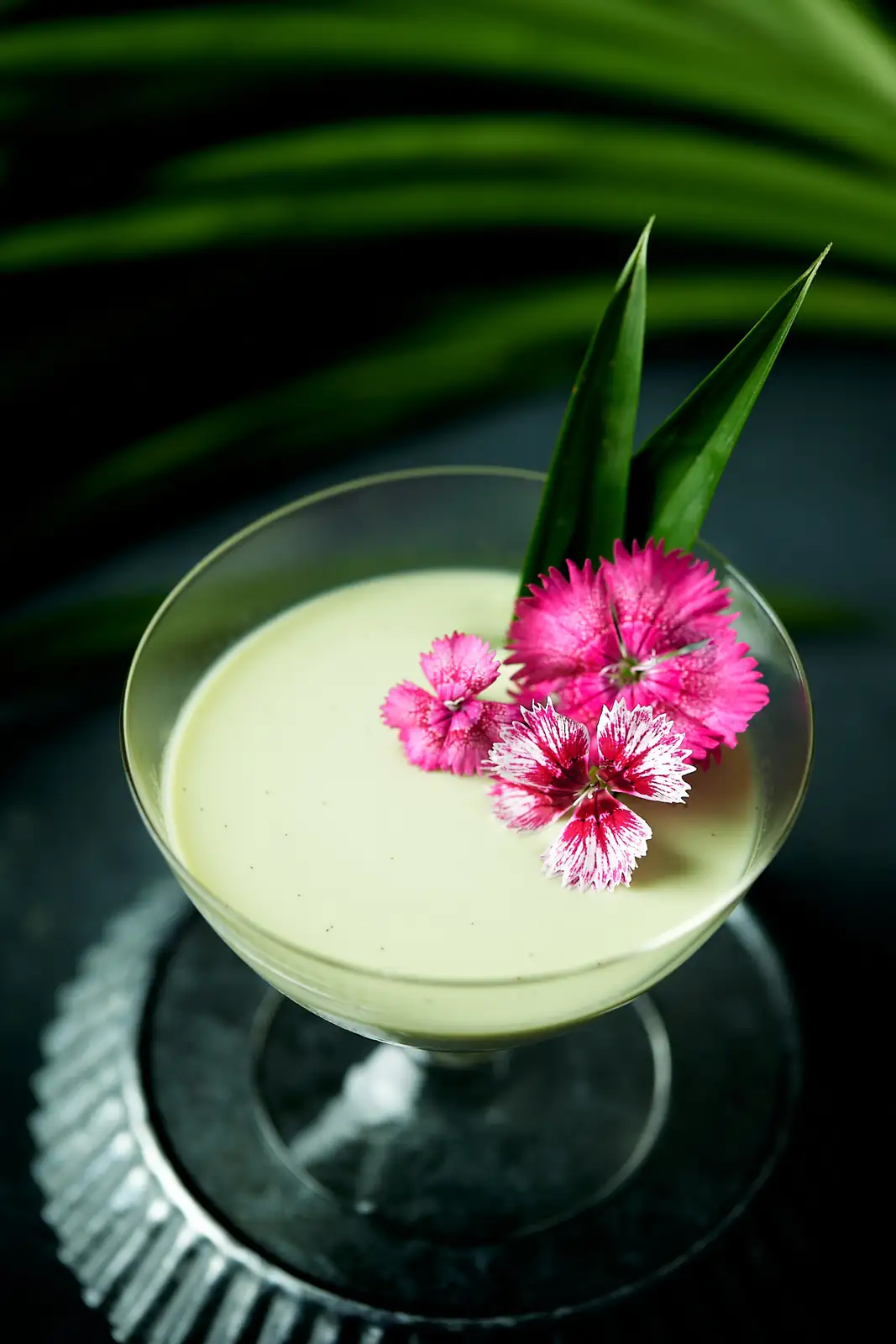 Edible Confetti, Safely: Grow Food-Grade Chinese Pink and Plate It Like a Pro