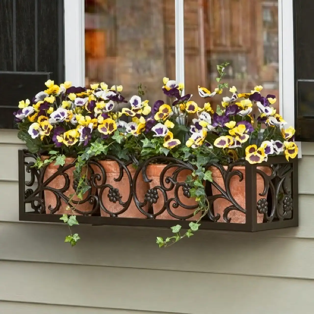 dianthus terracotta pots window box
