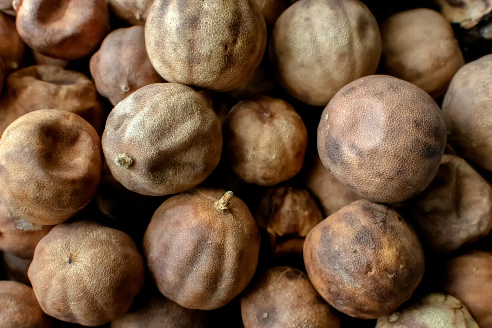 Cornus officinalis fruit drying trays