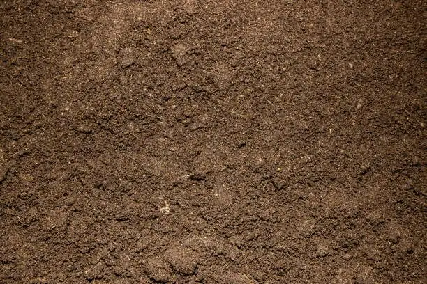 granular soil texture close-up