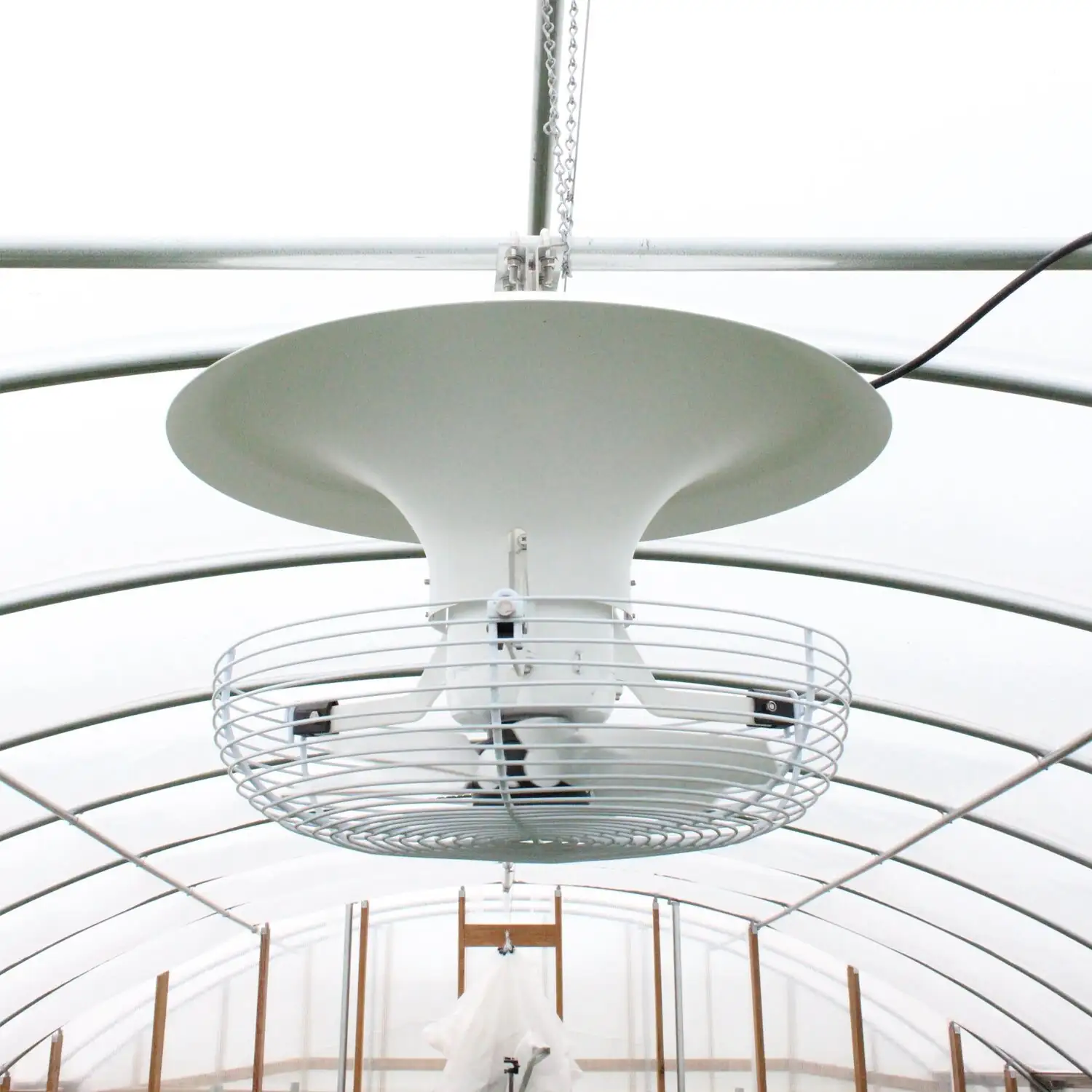 ranunculus balcony airflow fan