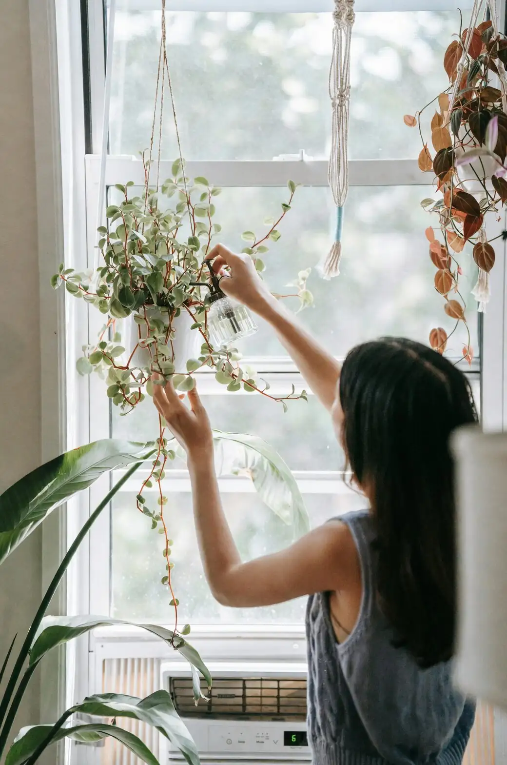 air plant wire hanging mobile