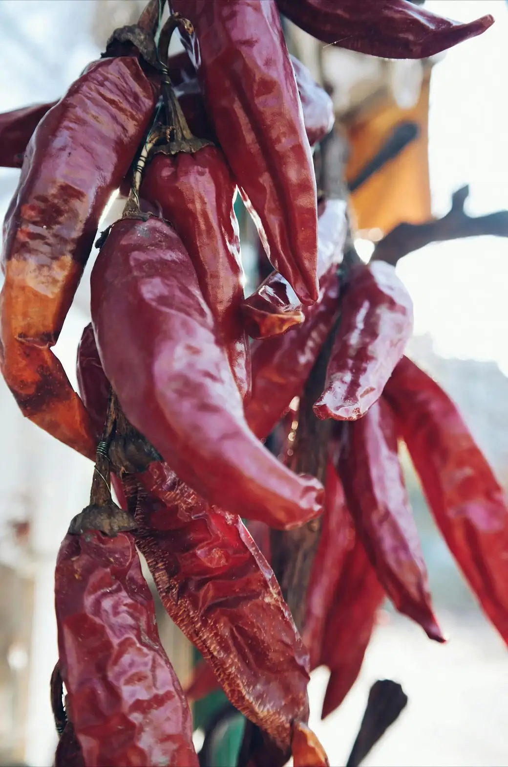 red chili pepper garland doorway