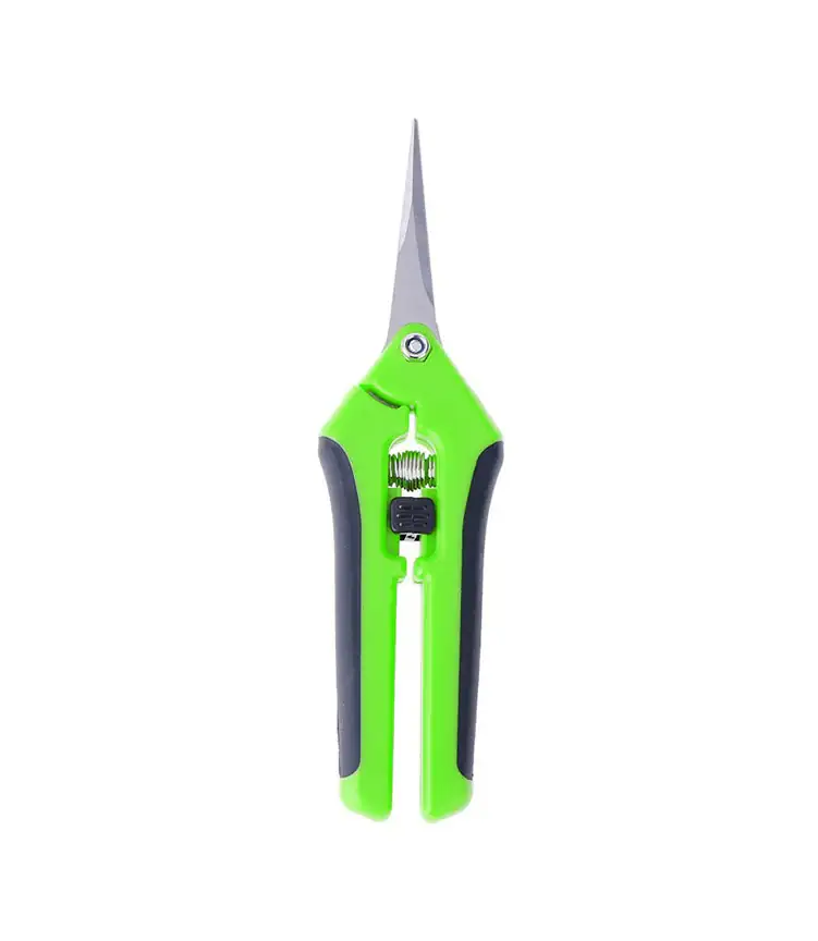 pennywort trimming scissors hands