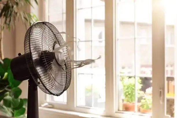 fuchsia indoor fan ventilation