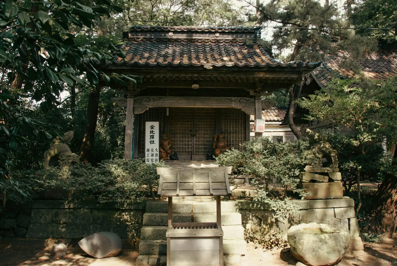 prunus mume at Shinto shrine