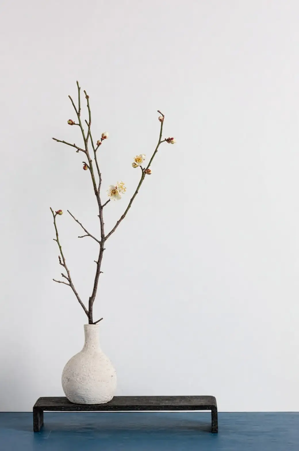plum blossom branch in vase
