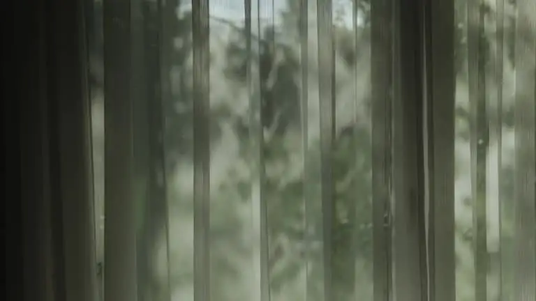 china doll plant sheer curtain window