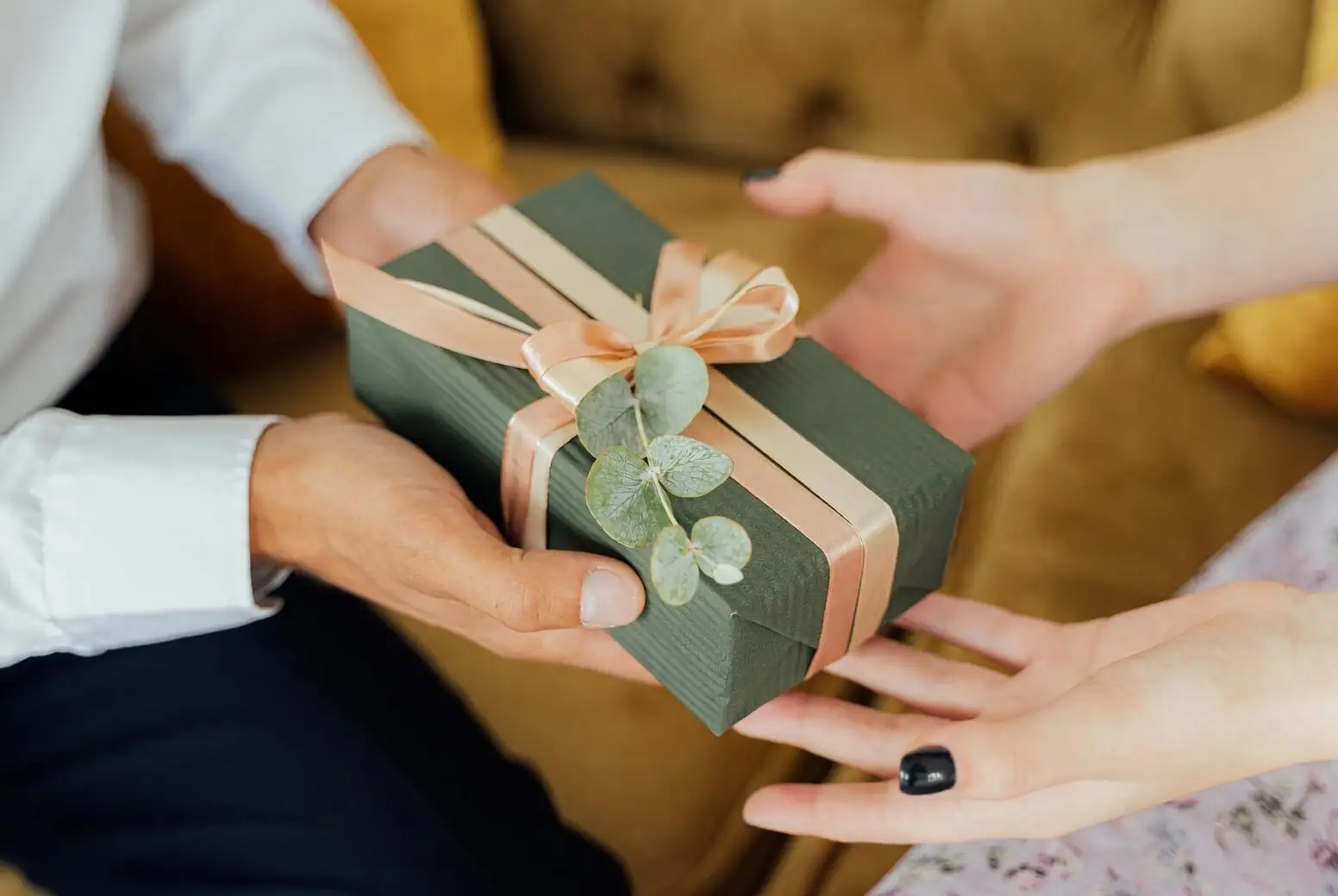China doll plant gift ribbon hands
