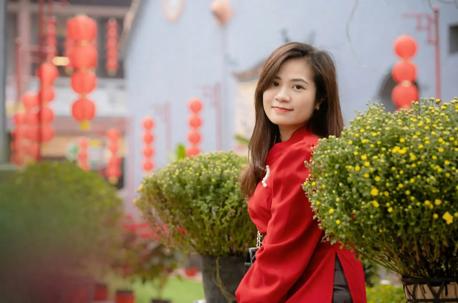 china doll plant light meter