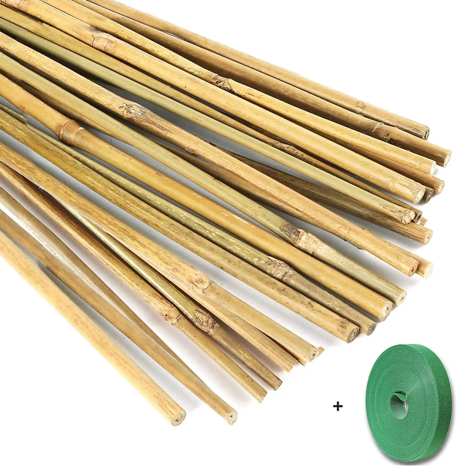lucky bamboo staking figure eight tie