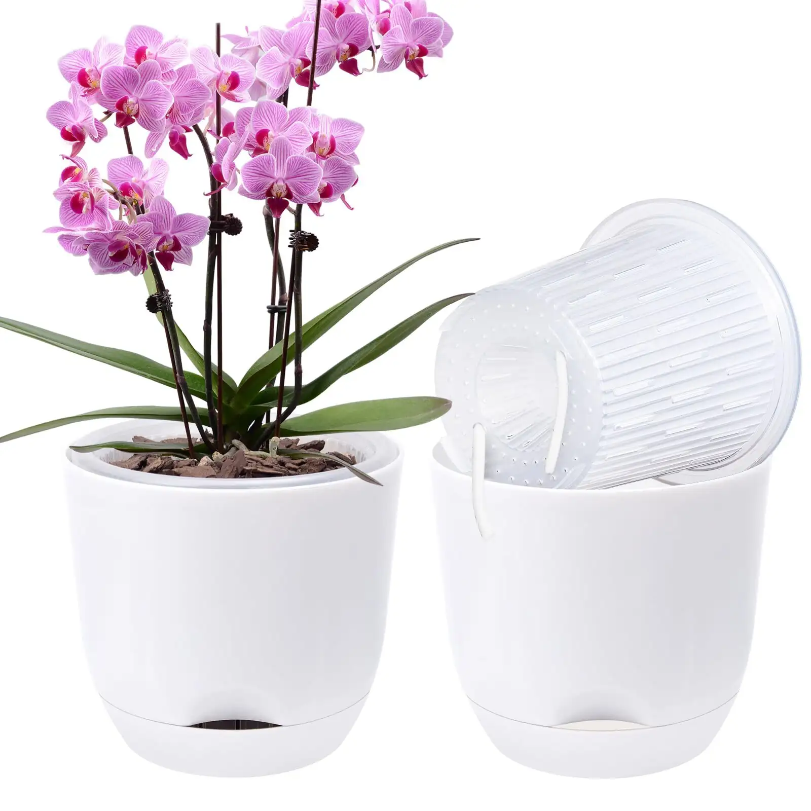 oncidium orchid double pot cachepot