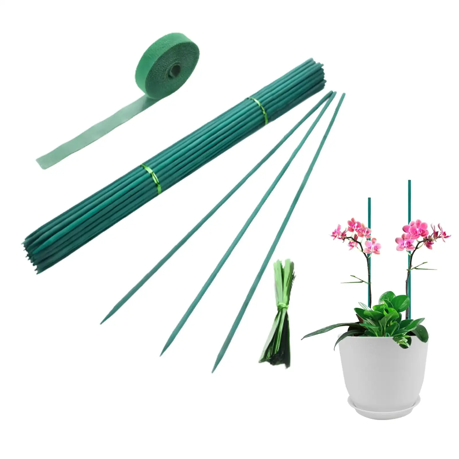 oncidium orchid staking bamboo ties