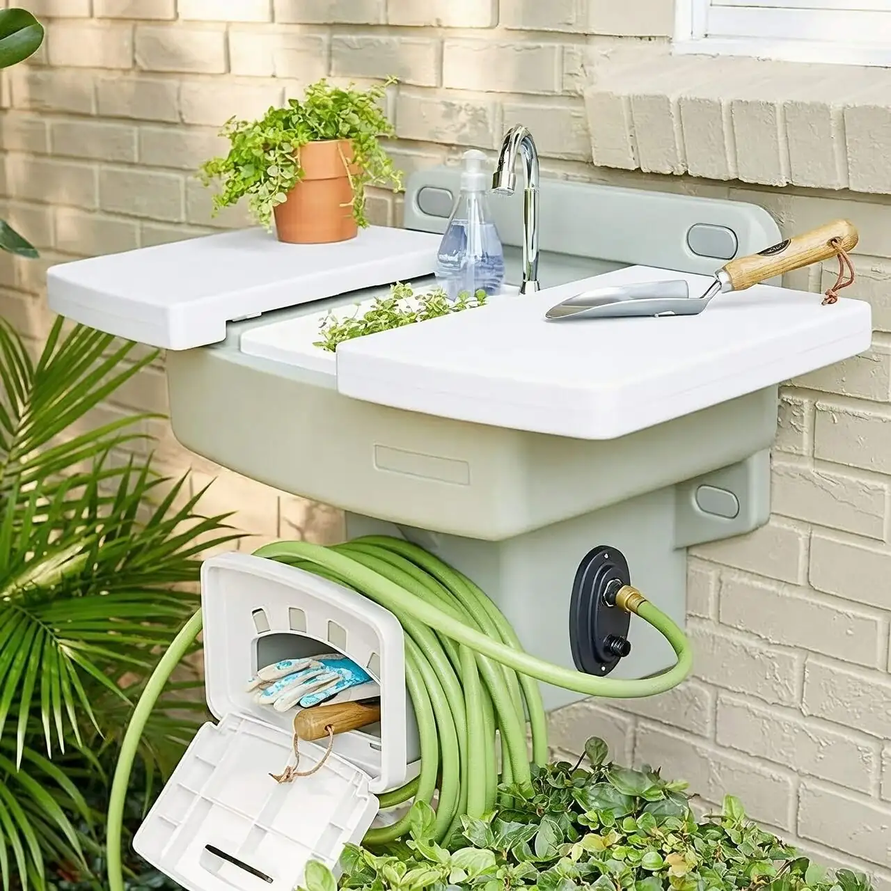 oncidium mounted sink soak watering