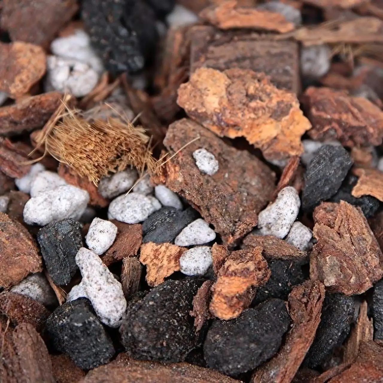 Oncidium orchid potting mix bark perlite
