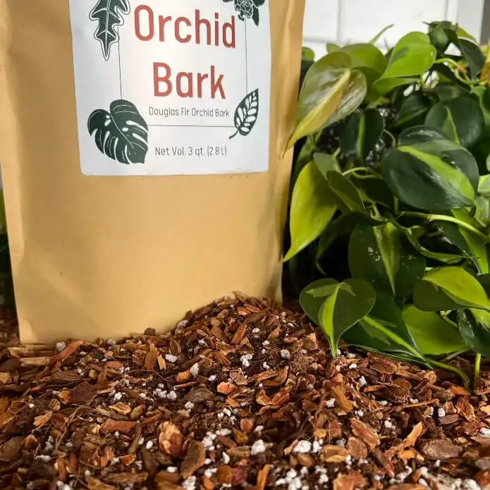 oncidium orchid bark mix close-up