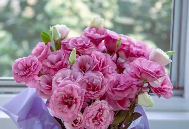 What Does a Freesia Really Say? The Flower Language of Trust and Purity—And Where It Came From