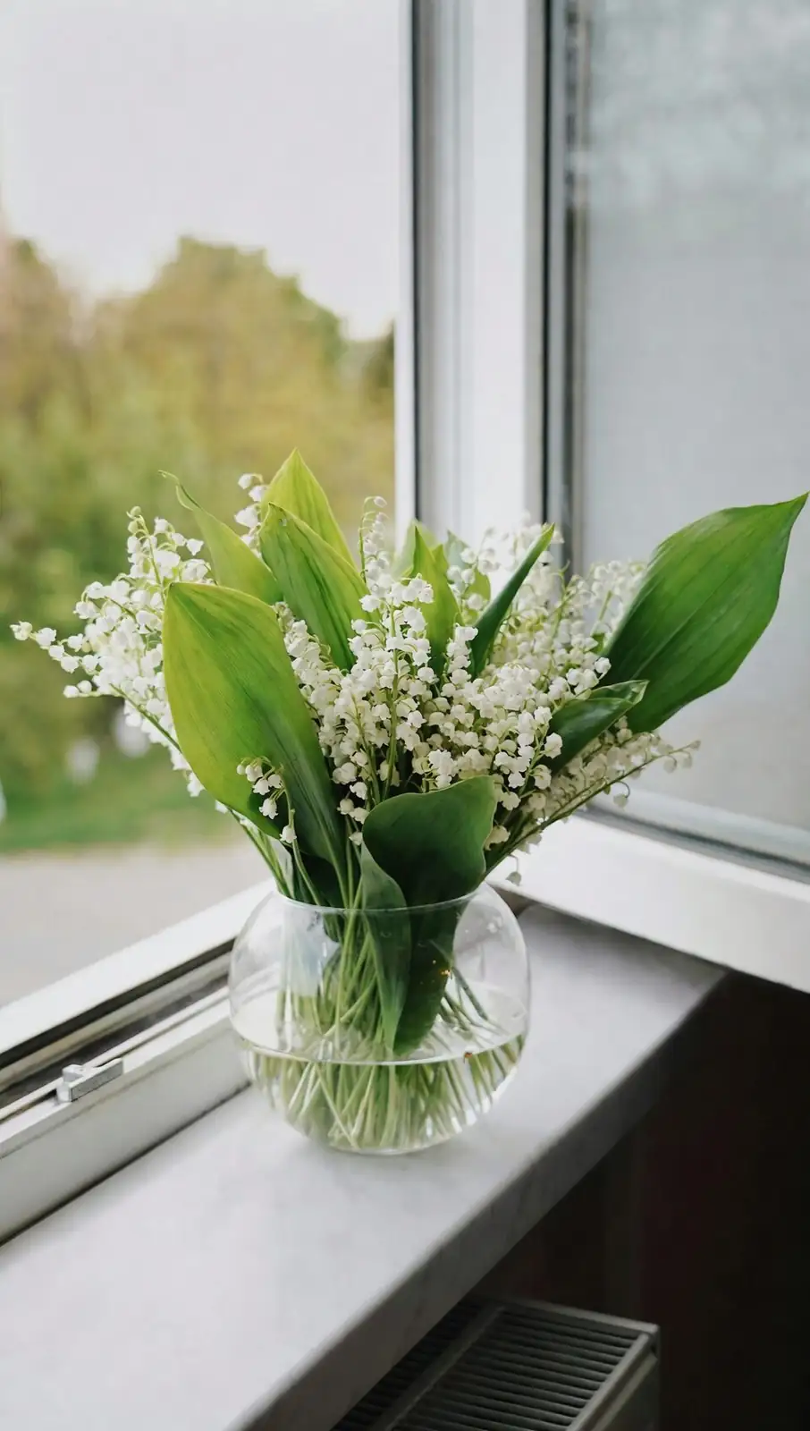 Make the Fragrance Last: Florist-Approved Tricks for 10+ Days of Freesia in a Vase