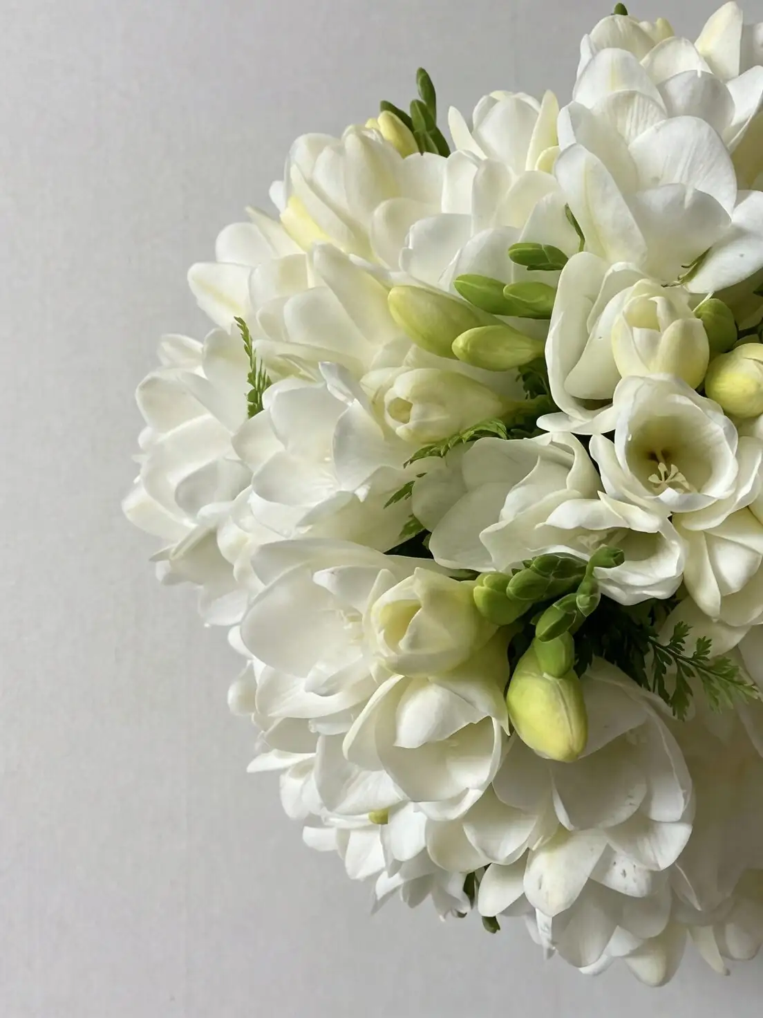 hand inspecting freesia buds market