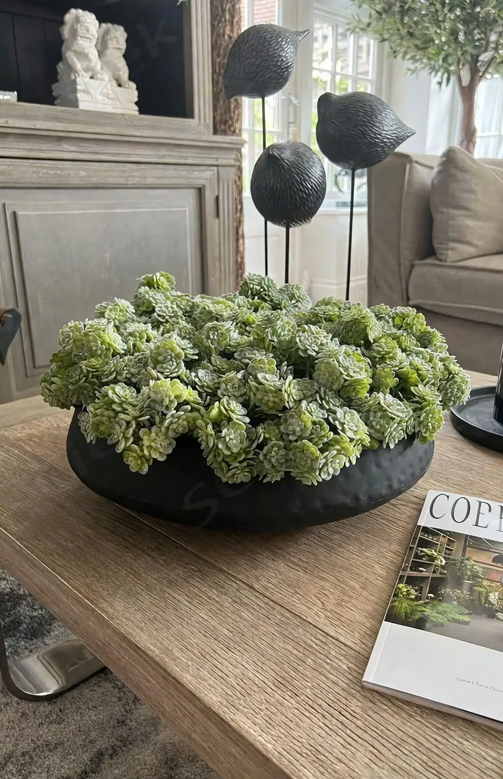 coralberry coffee table bowl planter