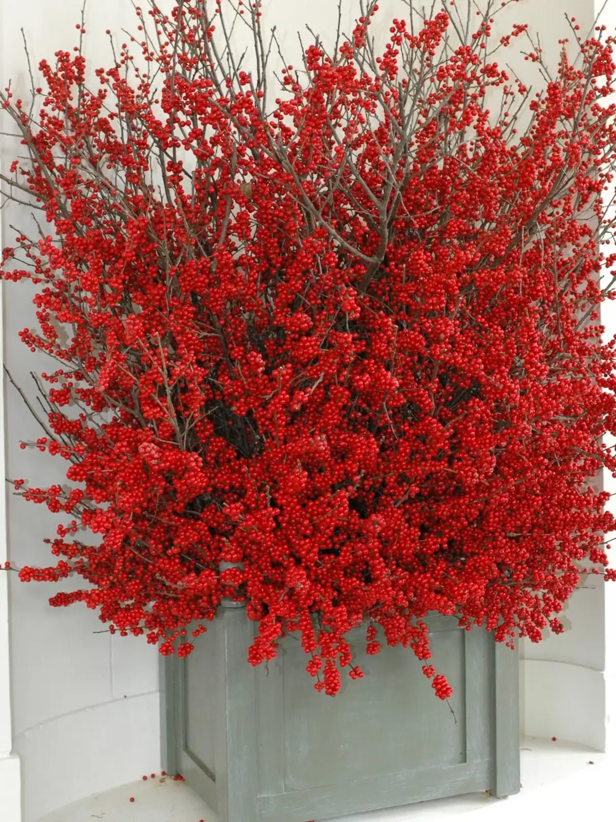 coralberry winter berries indoor decor