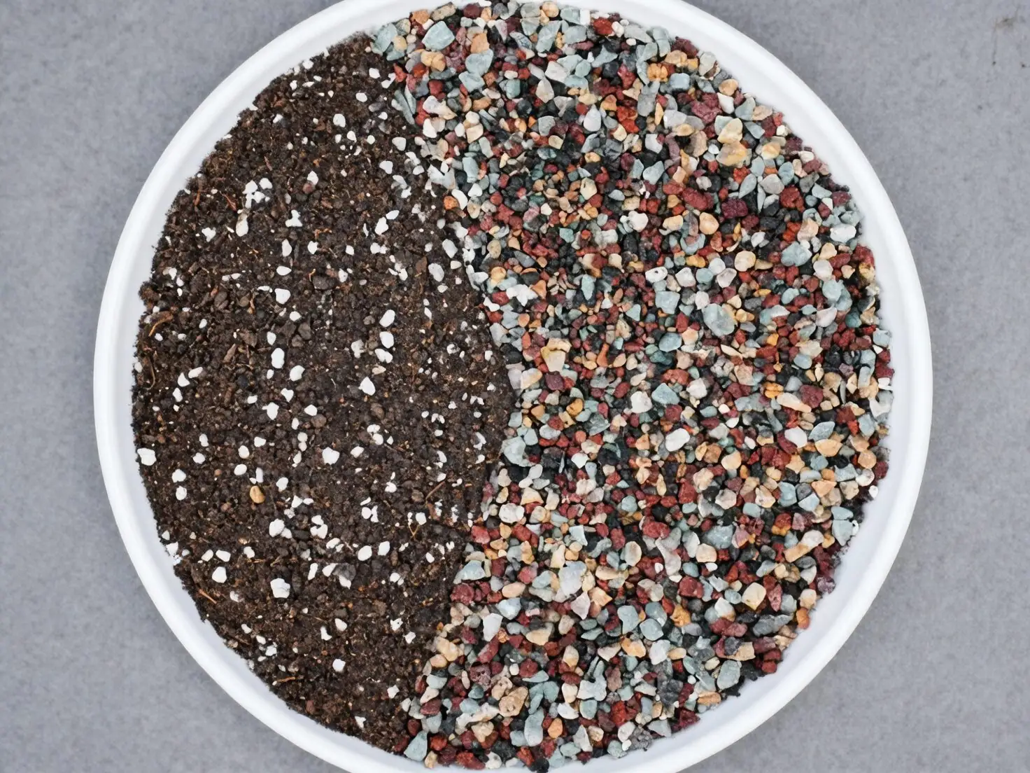 echeveria elegans repotting gritty mix