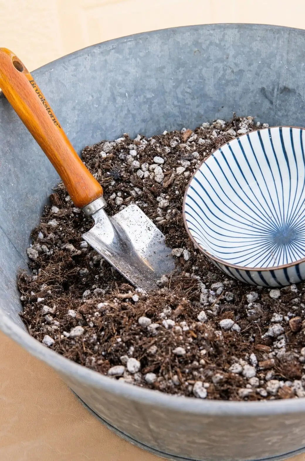 gritty succulent soil mix close-up