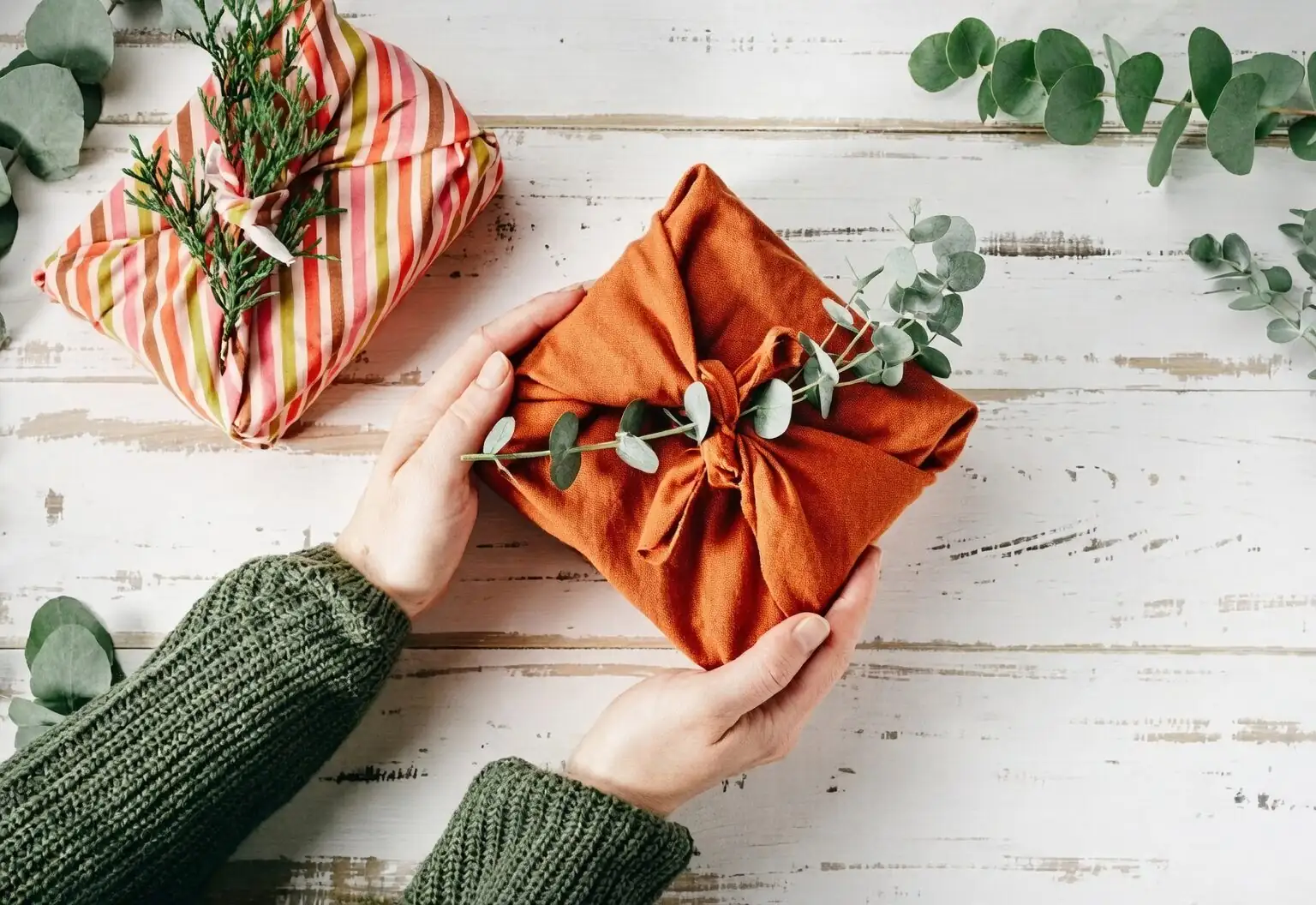 fittonia plant gift wrapping
