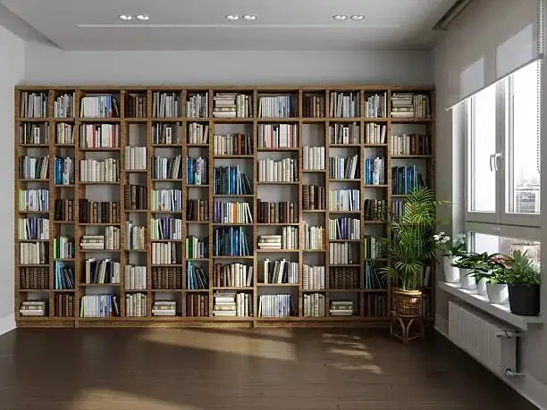 fittonia on desk with books