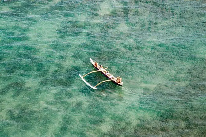 Voyage of the Good-Luck Leaf: How Ti Rode Polynesian Canoes Across the Pacific