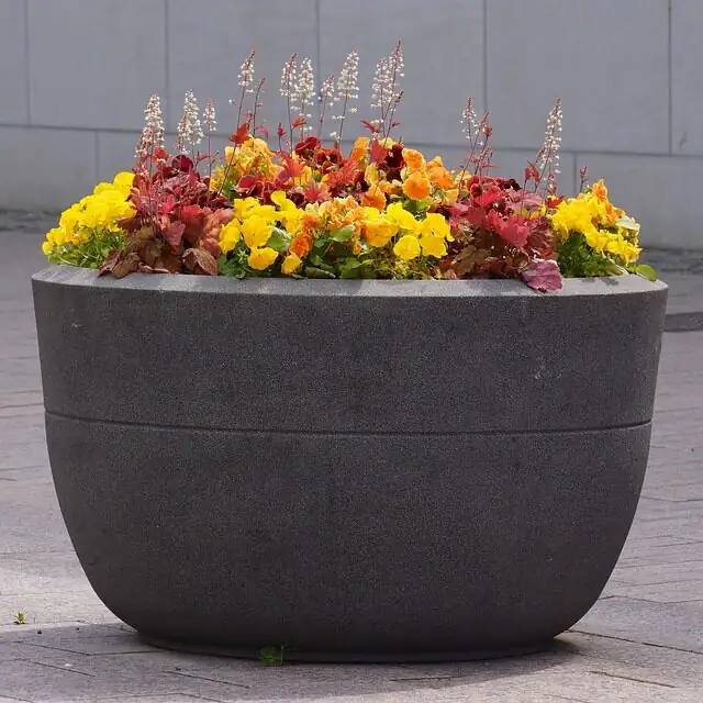 ti plant matte stoneware pot