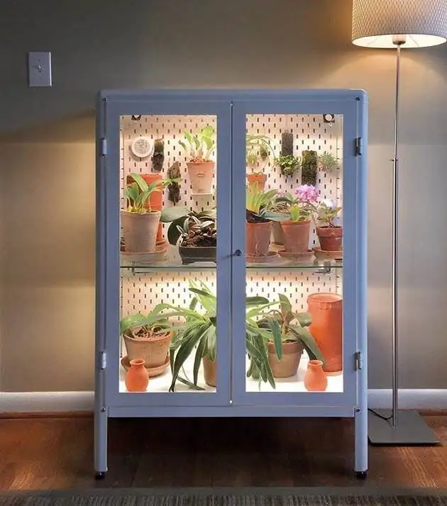 ti plant greenhouse cabinet indoor