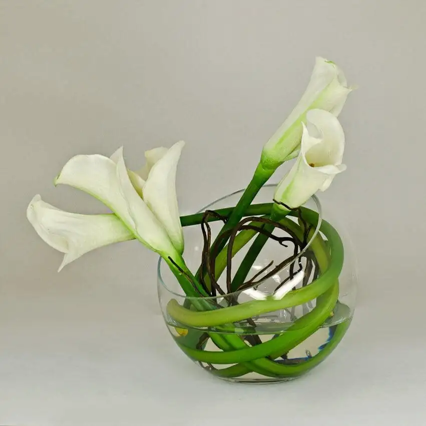 Make Your Callas Last: Florist-Proven Tricks for 10–14 Days of Vase Life
