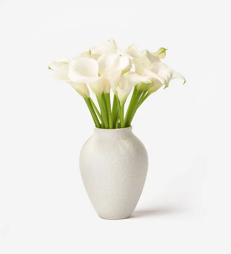 calla lily vase water change