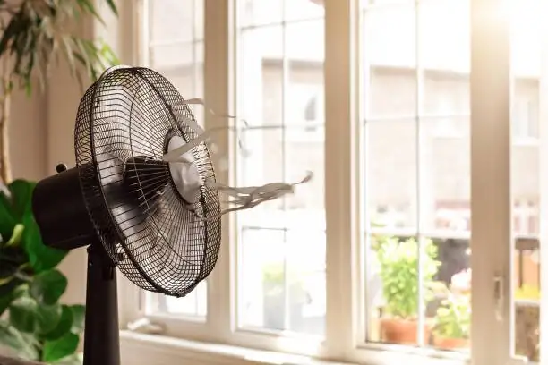 calla lily indoor fan airflow