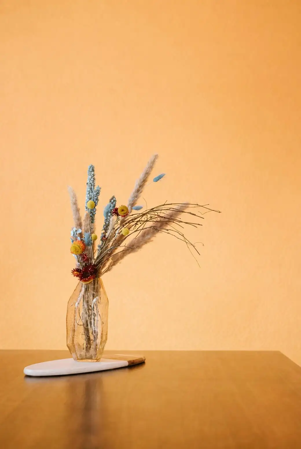 castanospermum australe hydroponic glass vase
