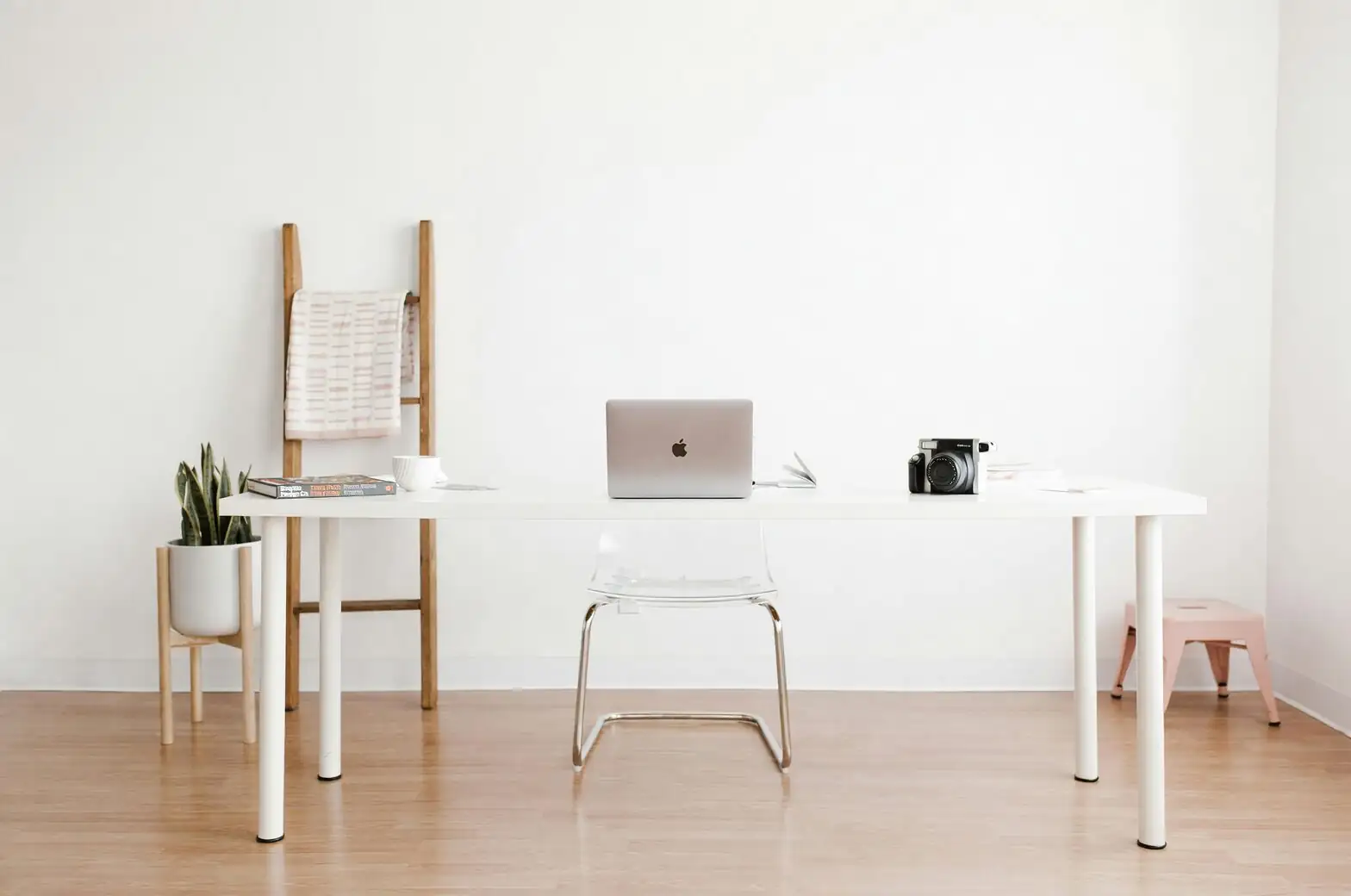 lucky bean plant mini desk and tall
