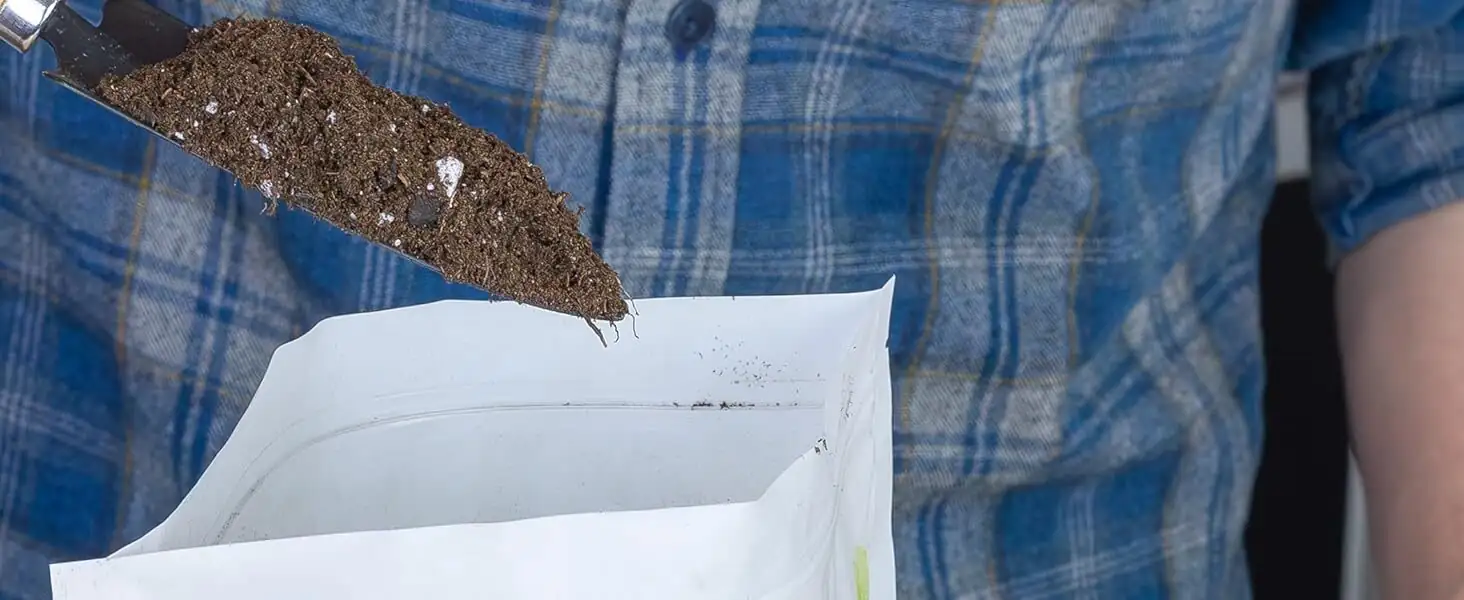 Weeping Fig potting mix perlite hands