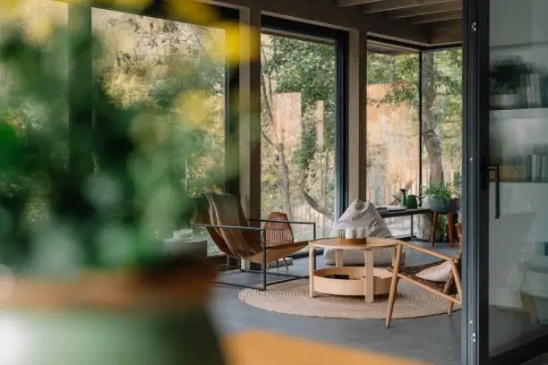 buddhist pine indoor bright window