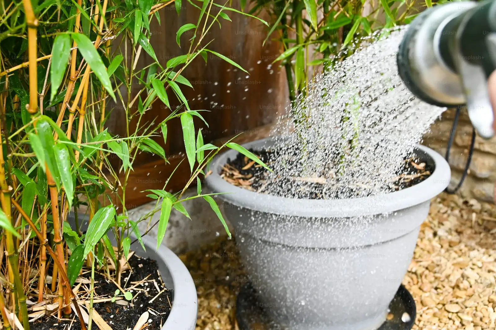podocarpus pot drainage mesh