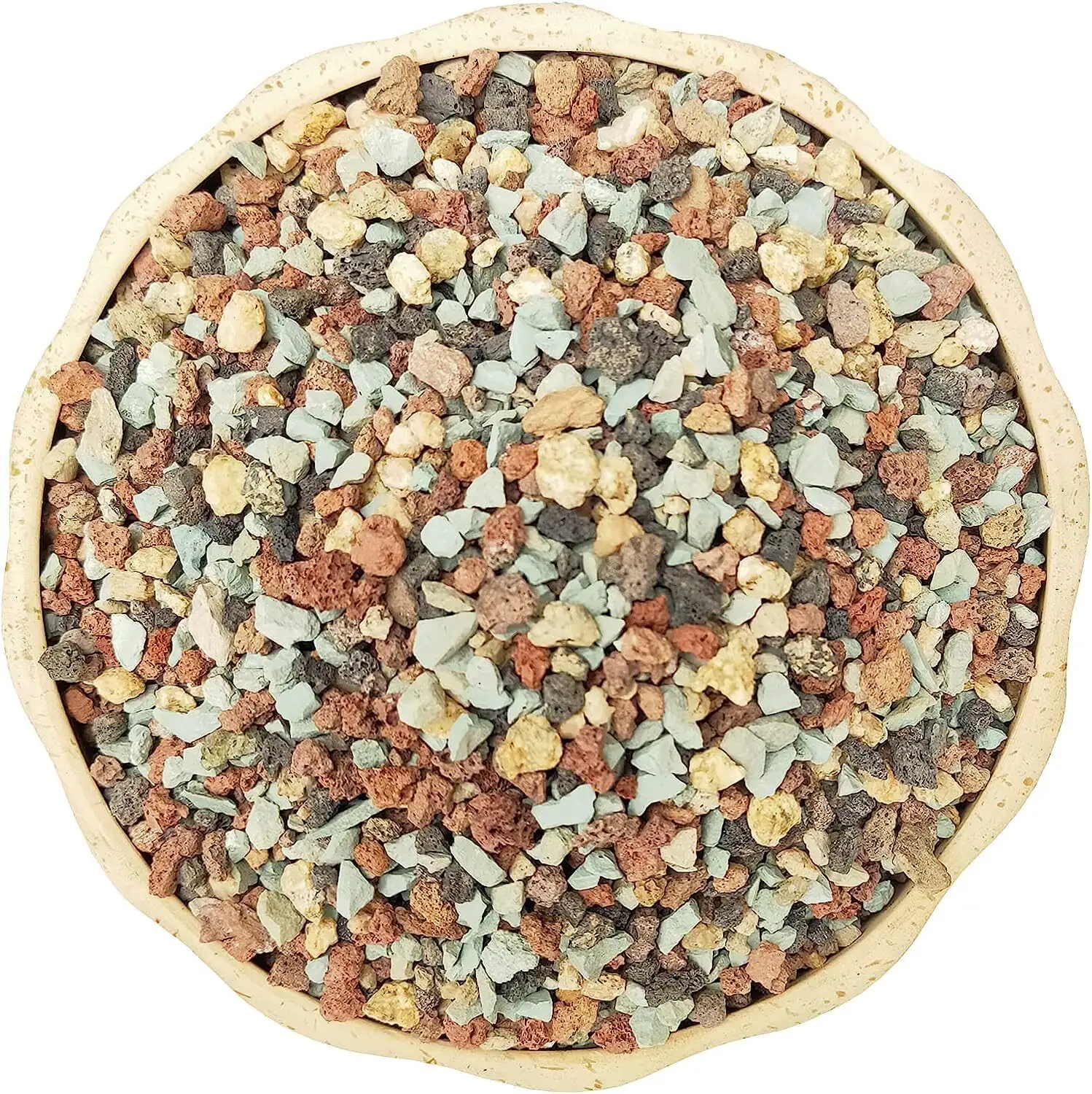 podocarpus gravel top dressing