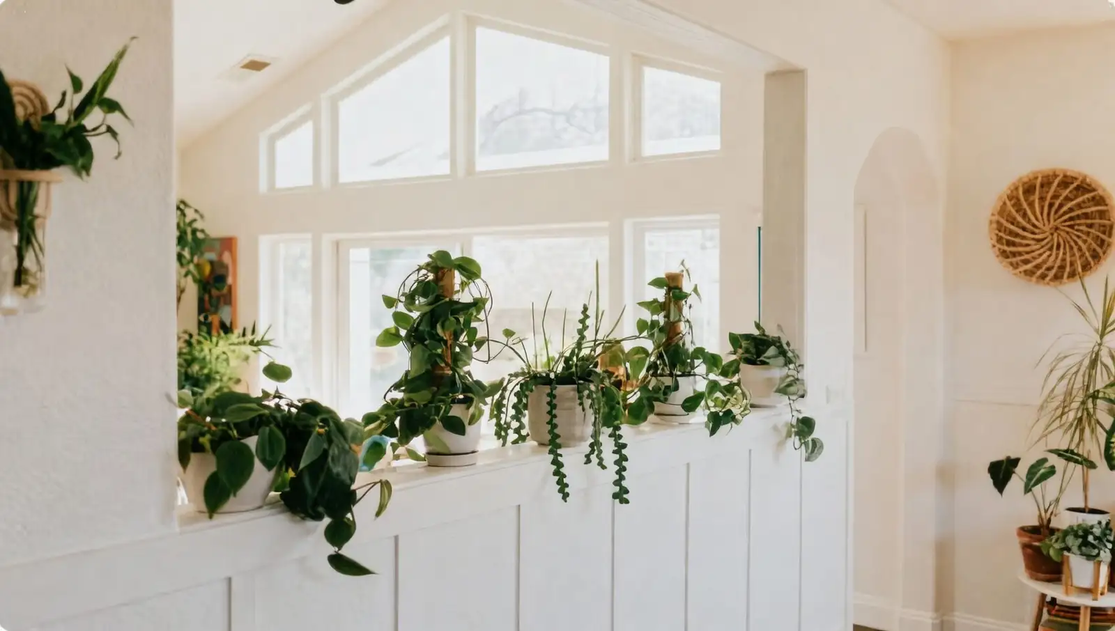 aluminum plant east window curtain