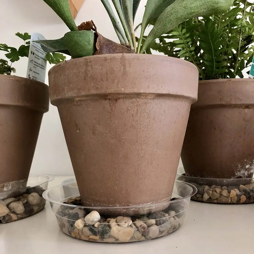 aluminum plant pebble tray grouping