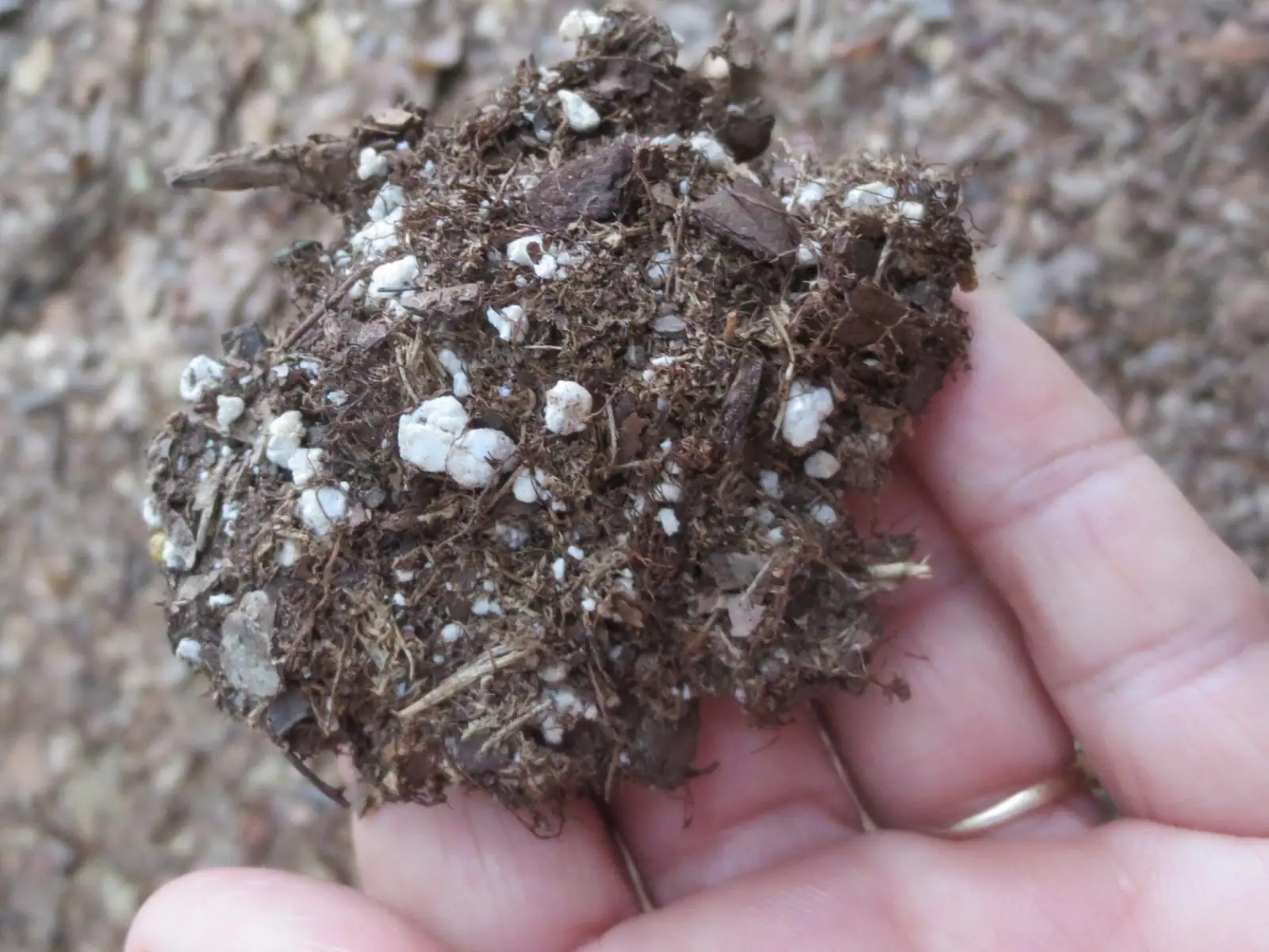 aluminum plant repotting perlite soil